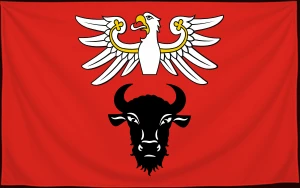 Флаг